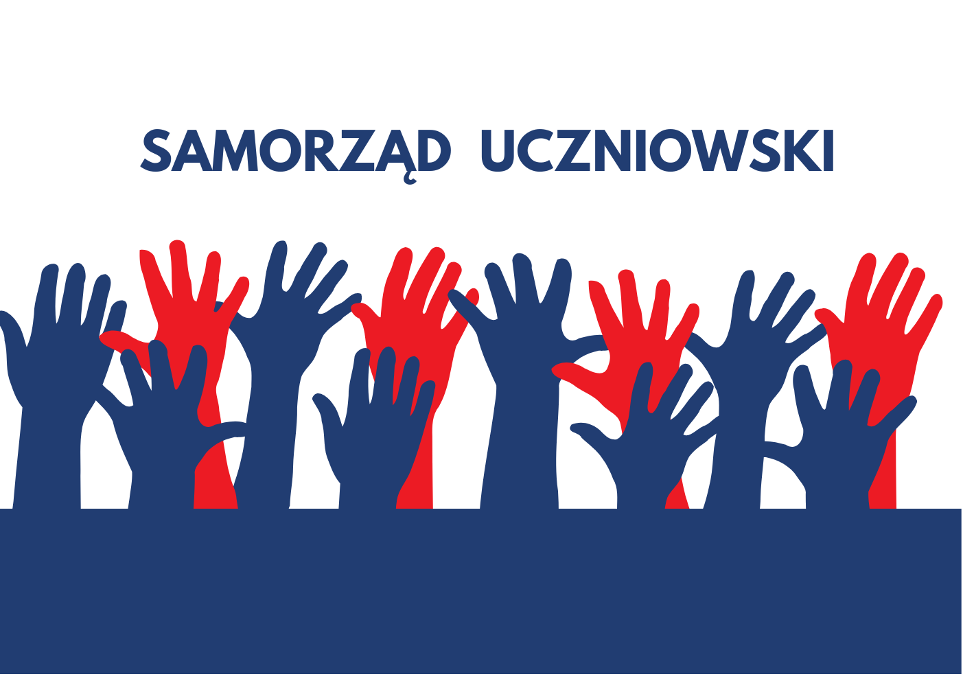 Wyniki wyborów do SU TZN!